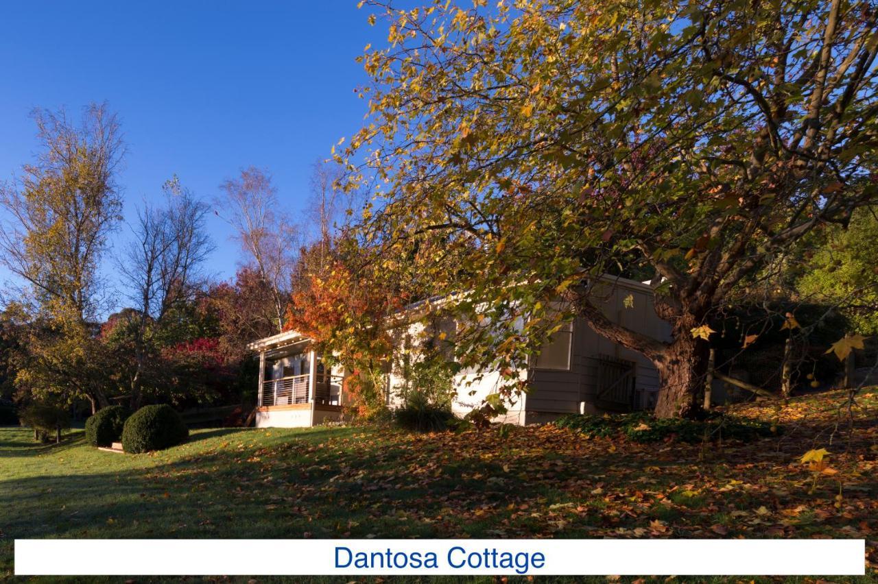 Dantosa Blue Mountains Retreat Villa คาทุมบา ภายนอก รูปภาพ